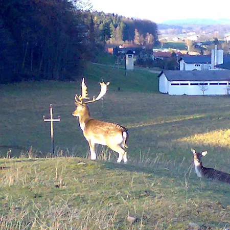 Steinberger 2* Sankt Georgen im Attergau