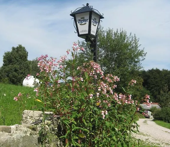 Steinberger Sankt Georgen im Attergau